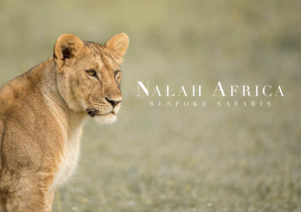 Nalah Africa Bespoke Safaris Johannesburg Safarigo